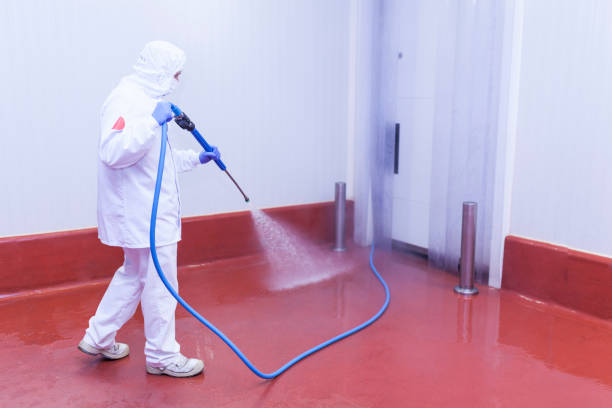 Best Warehouse Cleaning  in Punta Rassa, FL